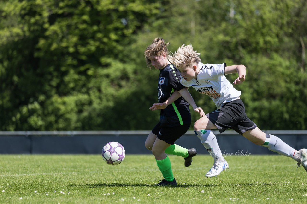 Bild 317 - wBJ SV Henstedt Ulzburg - FSG Oldendorf Itzehoe : Ergebnis: 6:3